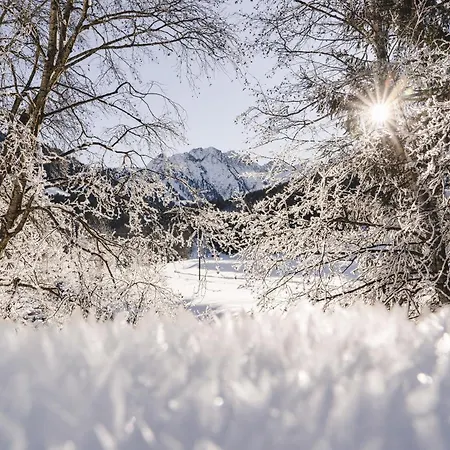 Traumhotel Alpina Superior (adults Only)