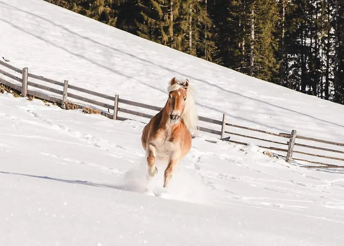 Hotel Traumhotel Alpina Superior (adults Only) Gerlos