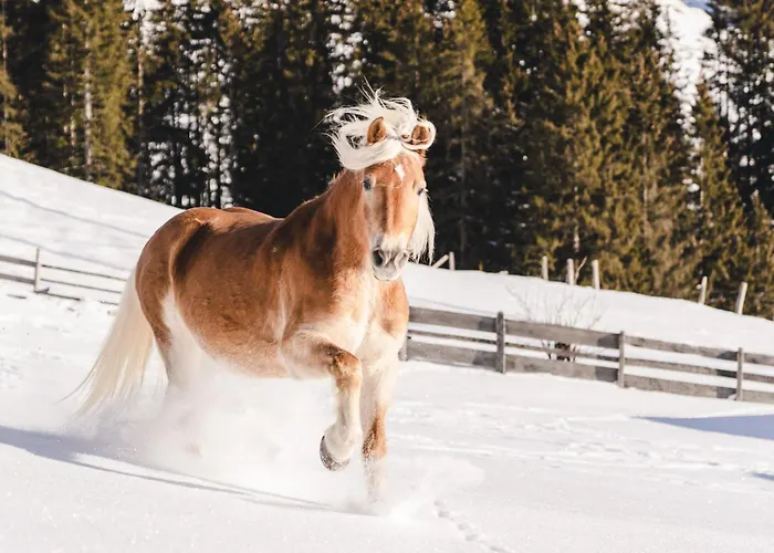 Traumhotel Alpina Superior (adults Only) Gerlos