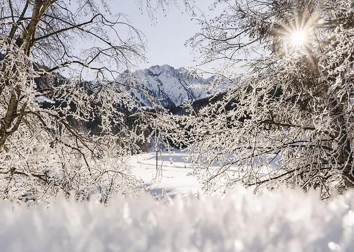 Traumhotel Alpina Superior (adults Only)