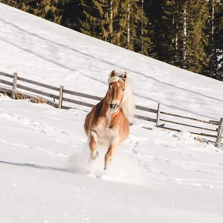 Hotel Traumhotel Alpina Superior (adults Only) Gerlos